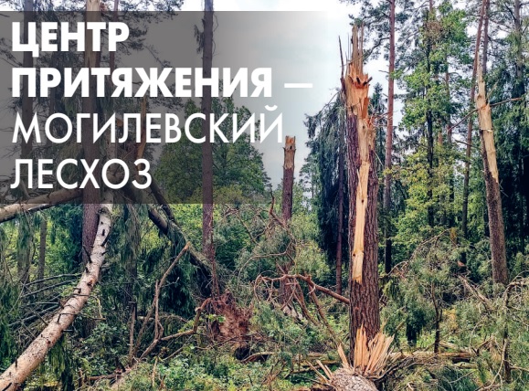 Центр притяжения — Могилевский лесхоз