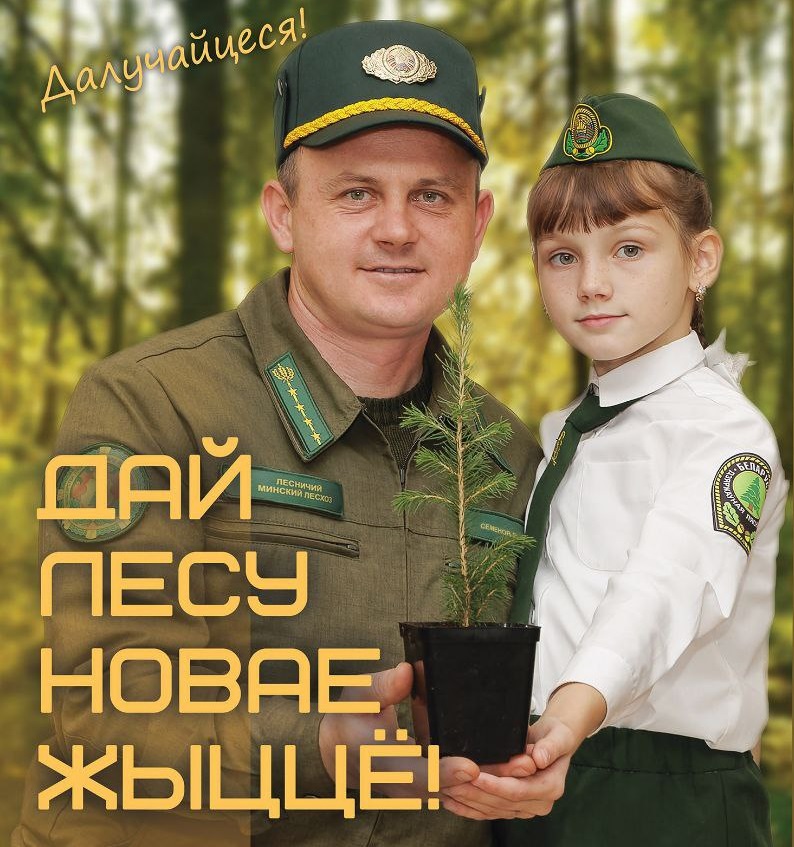Дай лесу новае жыцце!