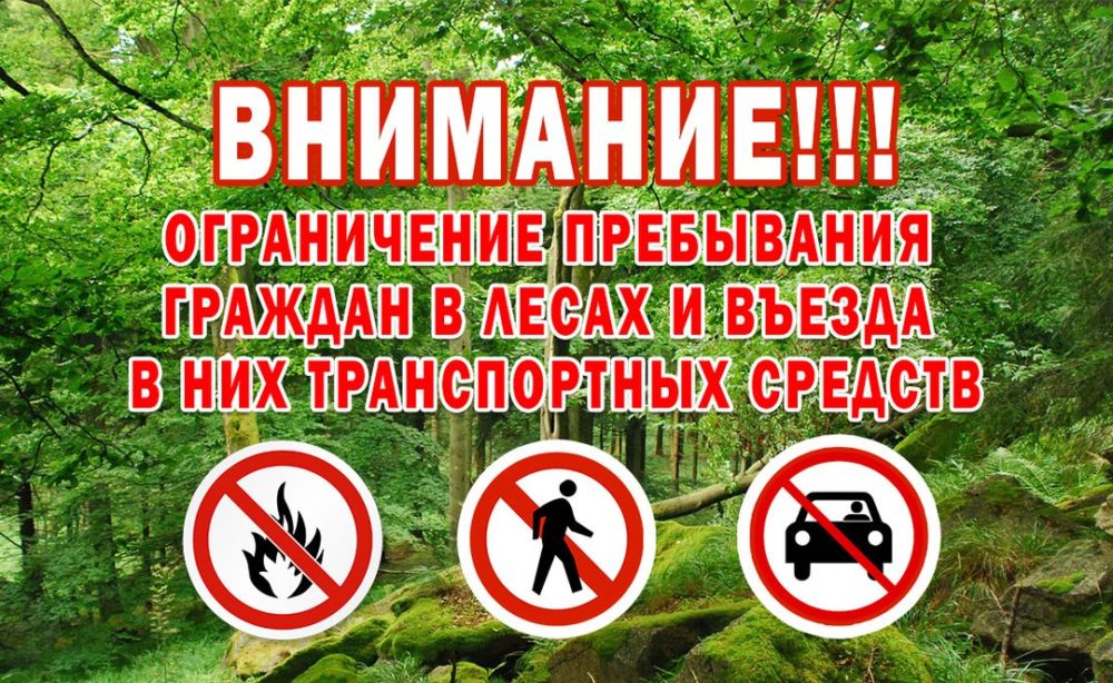 Запрет на посещения лесов