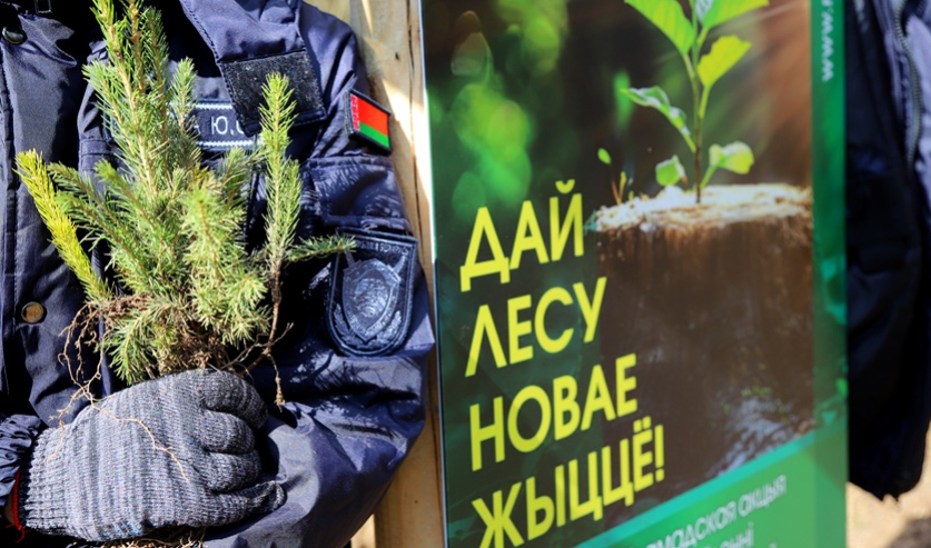 В Чериковском районе продолжается акция «Дай лесу новае жыццё»