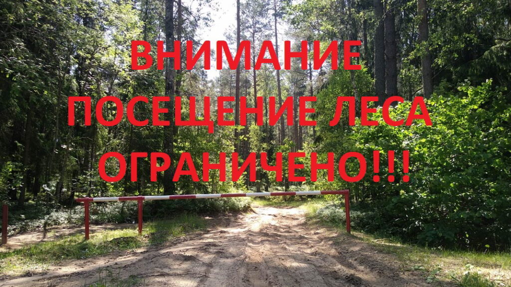 ВВЕДЕНО ОГРАНИЧЕНИЕ НА ПОСЕЩЕНИЕ ЛЕСОВ