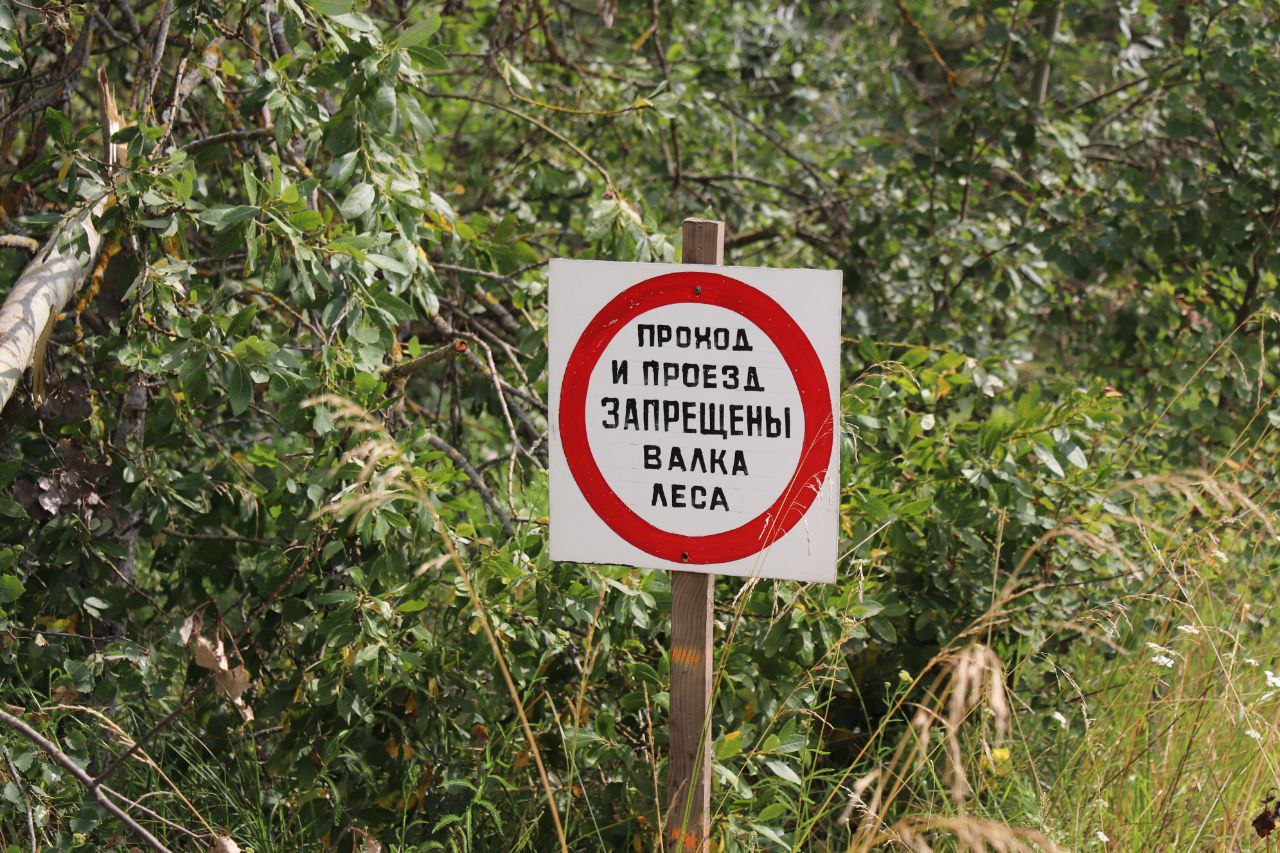 В Могилеве трудятся коллеги из Чериковского лесничества