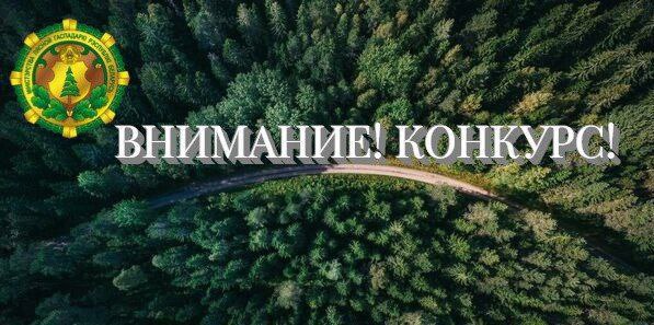 
							Конкурс на привлечения внимания о необходимости бережного отношения к лесному фонду					