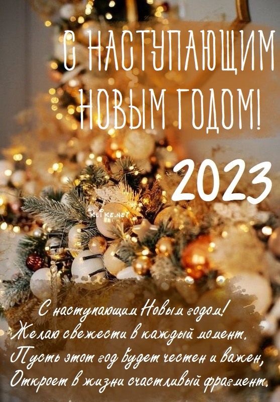 
							Поздравляем с Новым 2023 годом!					