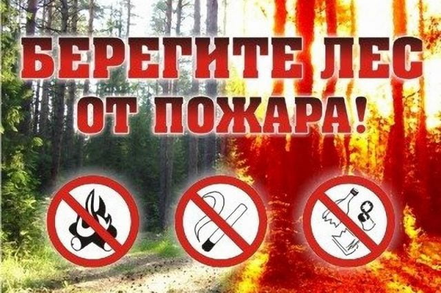 
							Пожарная обстановка в лесах					