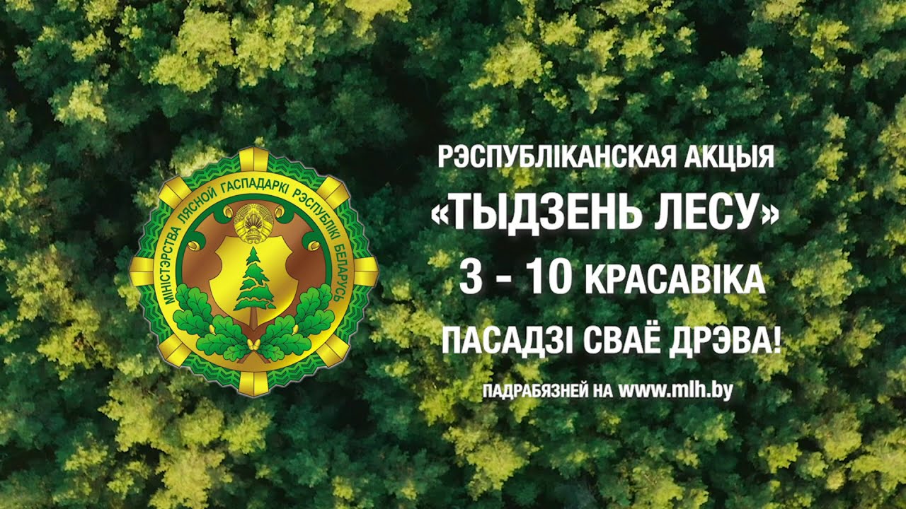 
							Неделя леса - 2021					
