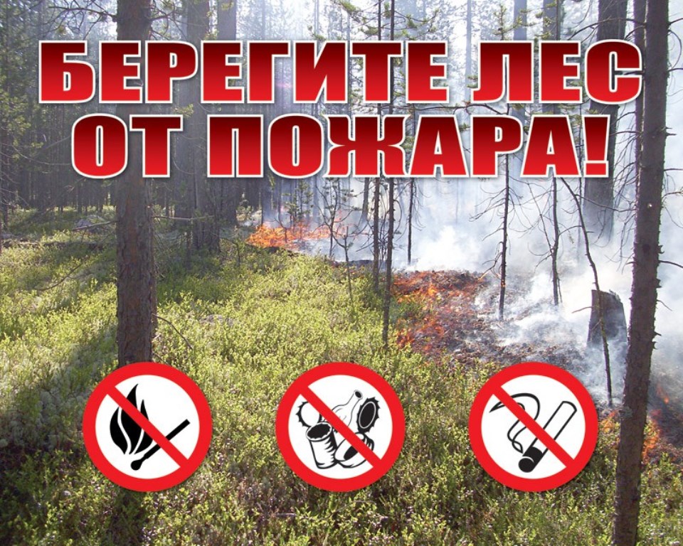 
							Берегите лес от пожара!					