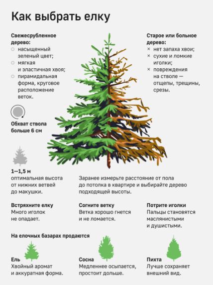 
							О реализации новогодних деревьев					