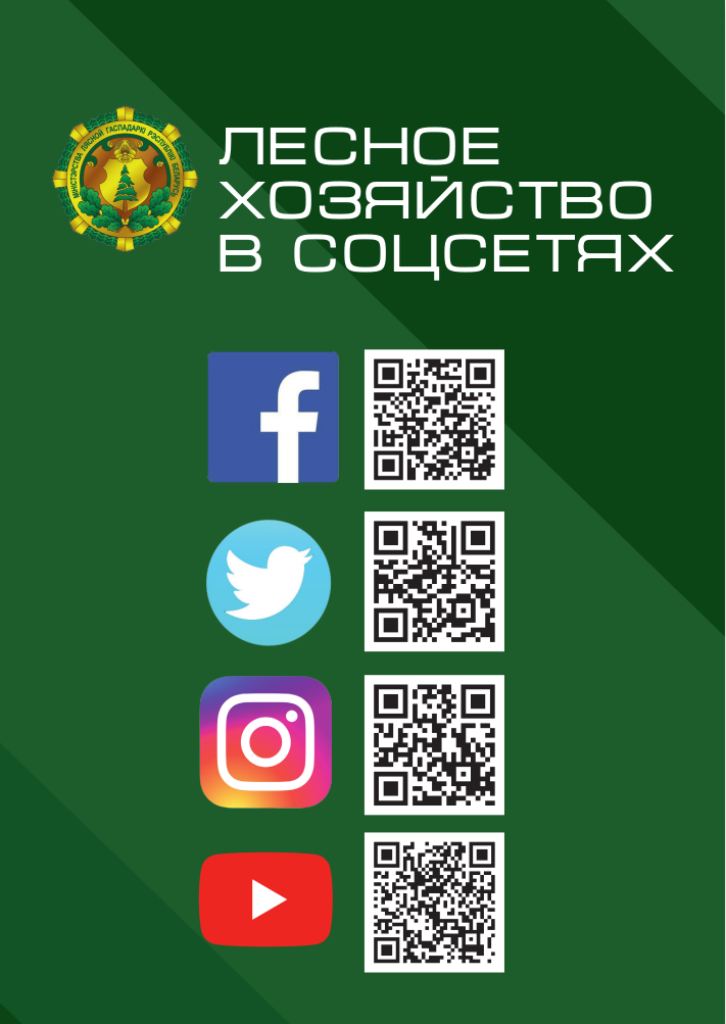 
							Лесное хозяйство в соцсетях					