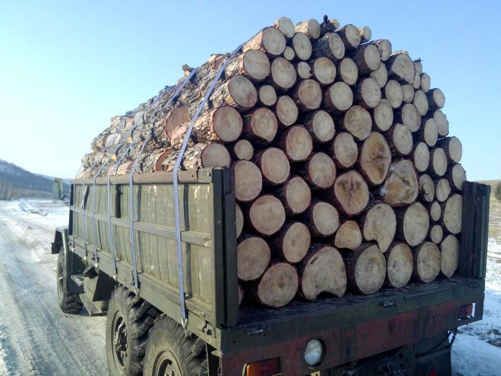 
							Заготовка дров  собственными силами  (самозаготовка)					