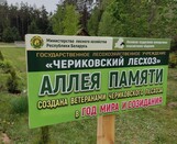 
							Аллея памяти в  рамках года Мира и Созидания					