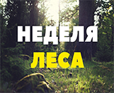 
							НЕДЕЛЯ ЛЕСА - 2022					