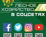 
							Лесное хозяйство в соцсетях					